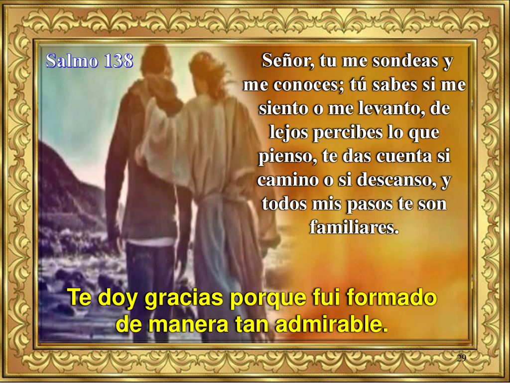 Te doy gracias porque fui formado de manera tan admirable.