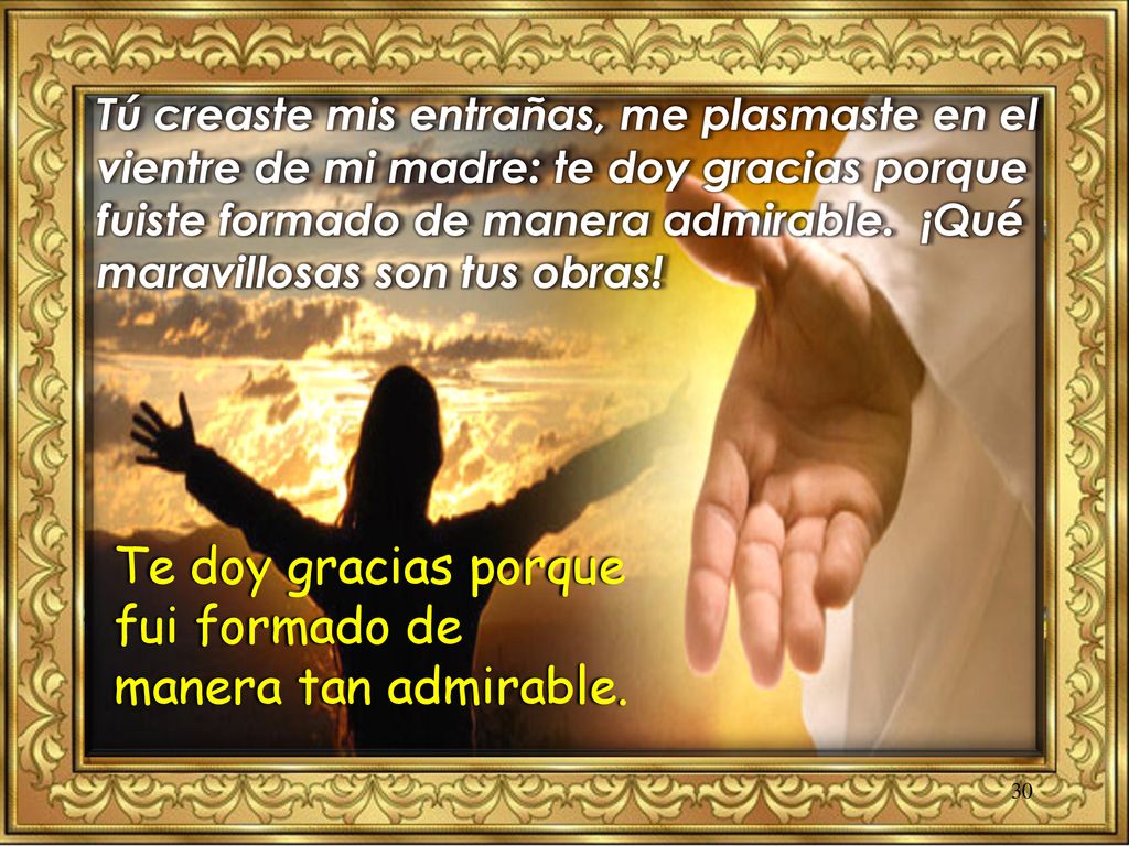 Te doy gracias porque fui formado de manera tan admirable.