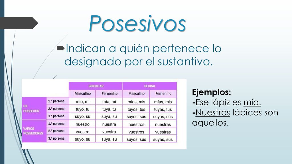 Posesivos Indican a quién pertenece lo designado por el sustantivo.
