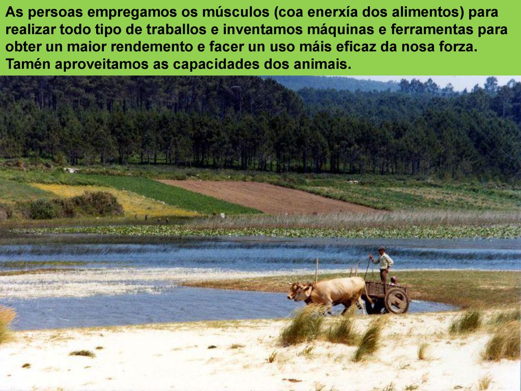 As persoas empregamos os músculos (coa enerxía dos alimentos) para realizar todo tipo de traballos e inventamos máquinas e ferramentas para obter un maior rendemento e facer un uso máis eficaz da nosa forza.