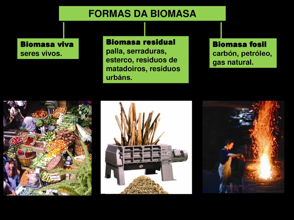 FORMAS DA BIOMASA Biomasa residual palla, serraduras, esterco, residuos de matadoiros, residuos urbáns.