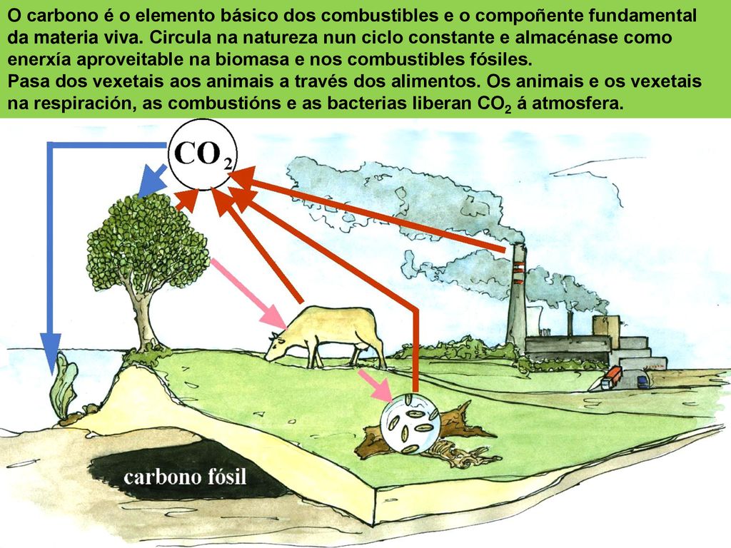 O carbono é o elemento básico dos combustibles e o compoñente fundamental da materia viva. Circula na natureza nun ciclo constante e almacénase como enerxía aproveitable na biomasa e nos combustibles fósiles.
