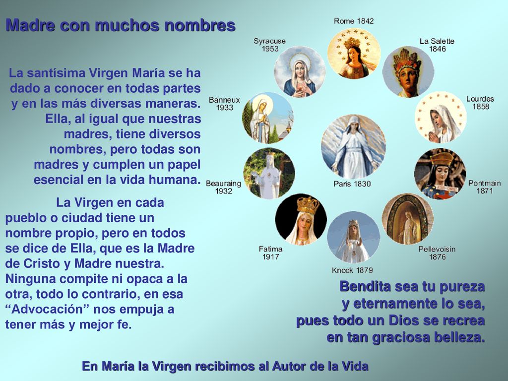 En María la Virgen recibimos al Autor de la Vida