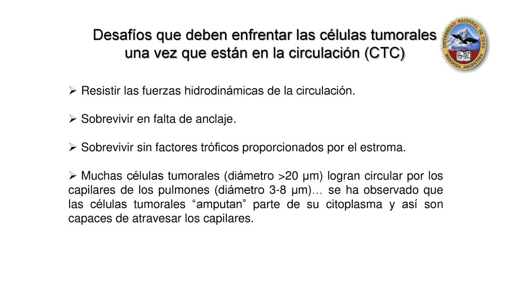 Desafíos que deben enfrentar las células tumorales una vez que están en la circulación (CTC)