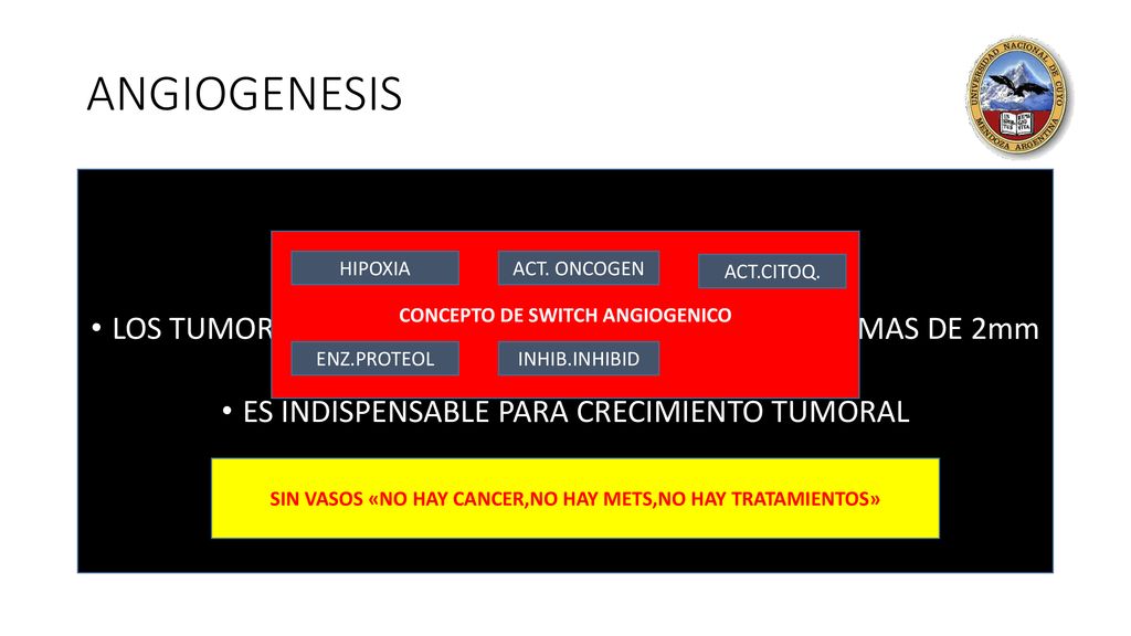 ANGIOGENESIS LOS TUMORES SIN ANGIOGENESIS NO PUEDEN CRECER MAS DE 2mm CUBICOS. ES INDISPENSABLE PARA CRECIMIENTO TUMORAL.