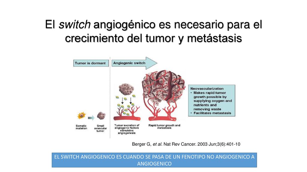 El switch angiogénico es necesario para el crecimiento del tumor y metástasis