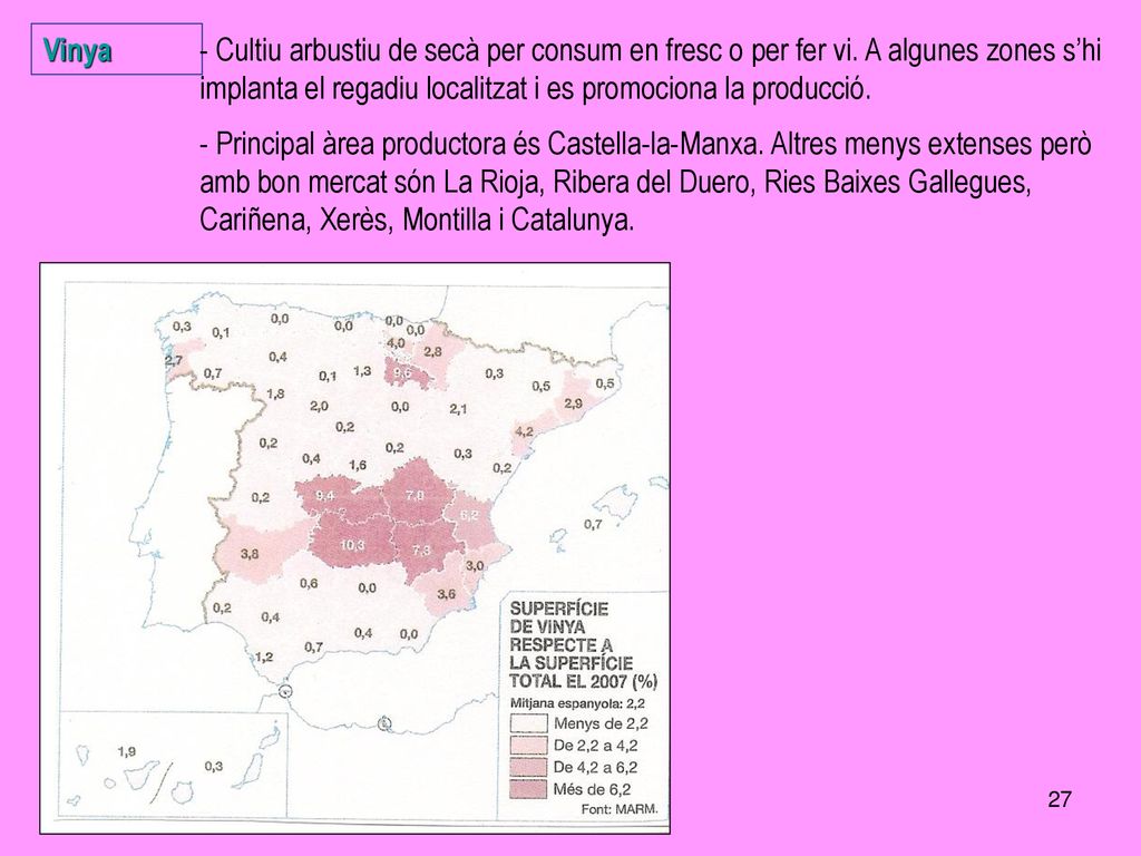 Vinya - Cultiu arbustiu de secà per consum en fresc o per fer vi. A algunes zones s’hi implanta el regadiu localitzat i es promociona la producció.
