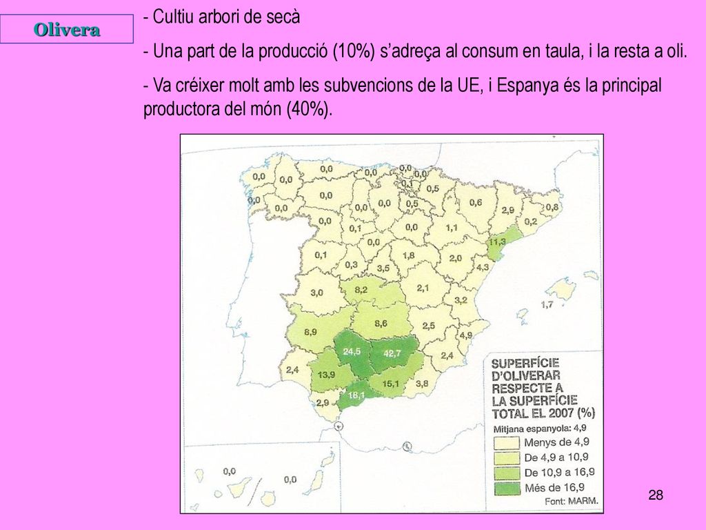 - Cultiu arbori de secà - Una part de la producció (10%) s’adreça al consum en taula, i la resta a oli.