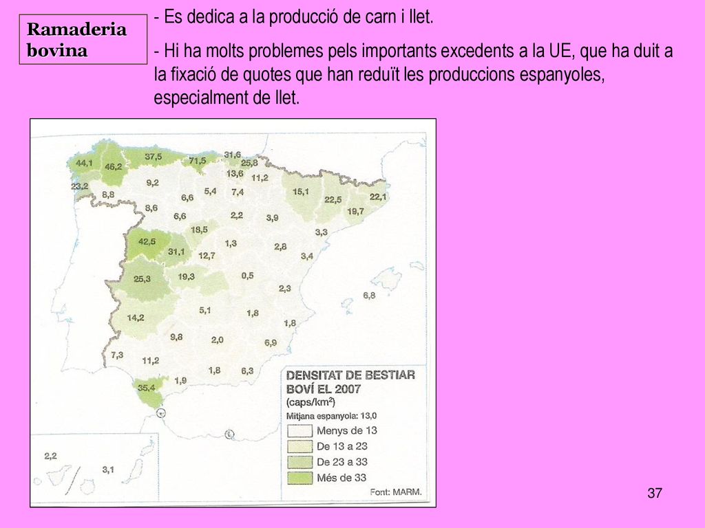 - Es dedica a la producció de carn i llet.