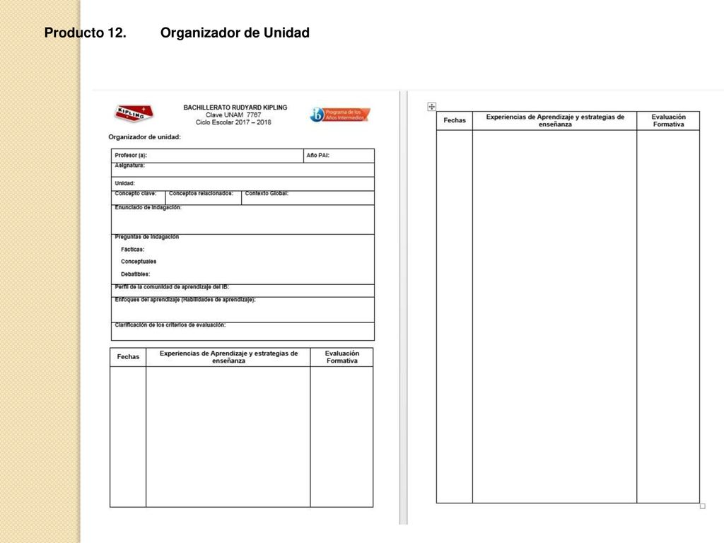Producto 12. Organizador de Unidad