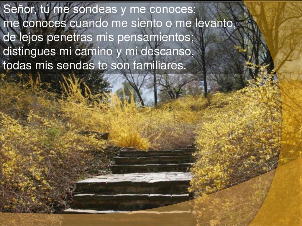 Señor, tú me sondeas y me conoces: me conoces cuando me siento o me levanto, de lejos penetras mis pensamientos; distingues mi camino y mi descanso, todas mis sendas te son familiares.