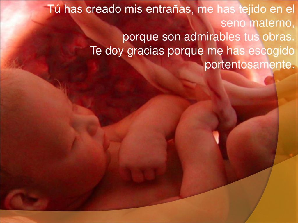 Tú has creado mis entrañas, me has tejido en el seno materno, porque son admirables tus obras.