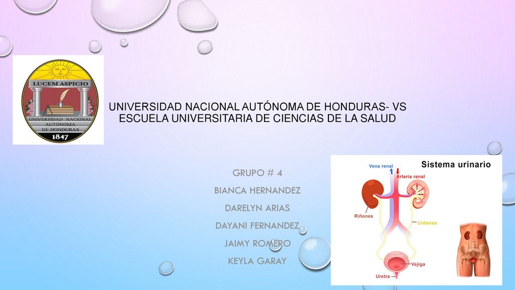 Universidad nacional autónoma de honduras- vs escuela universitaria de ciencias de la salud