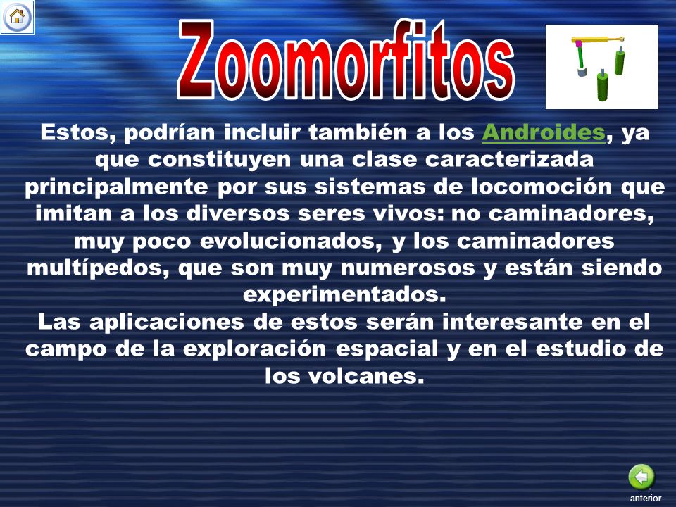 Zoomorfitos