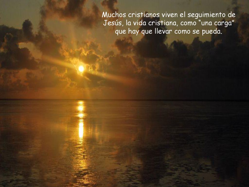 Muchos cristianos viven el seguimiento de Jesús, la vida cristiana, como una carga que hay que llevar como se pueda.