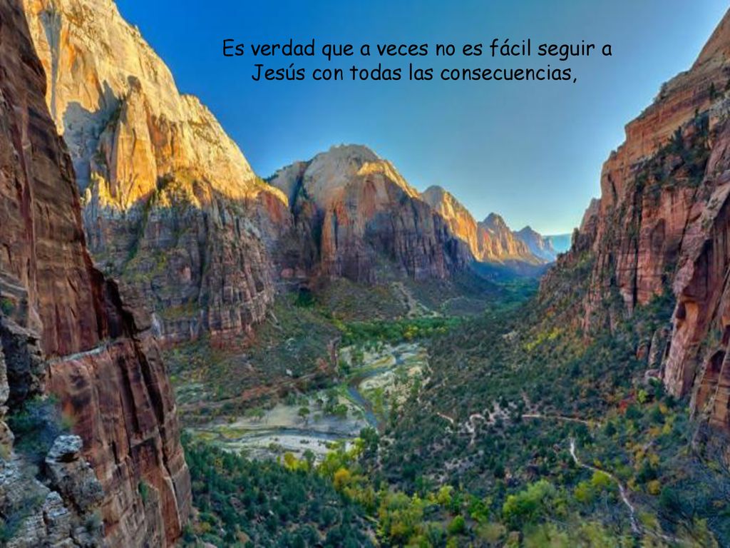 Es verdad que a veces no es fácil seguir a Jesús con todas las consecuencias,