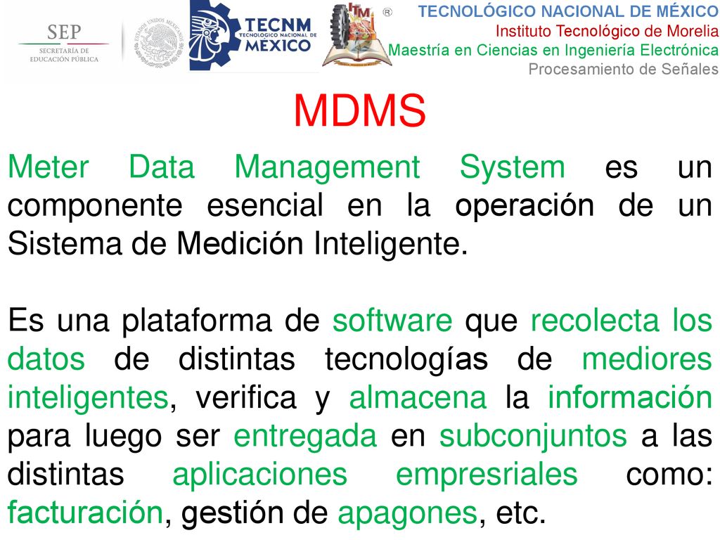 MDMS Meter Data Management System es un componente esencial en la operación de un Sistema de Medición Inteligente.