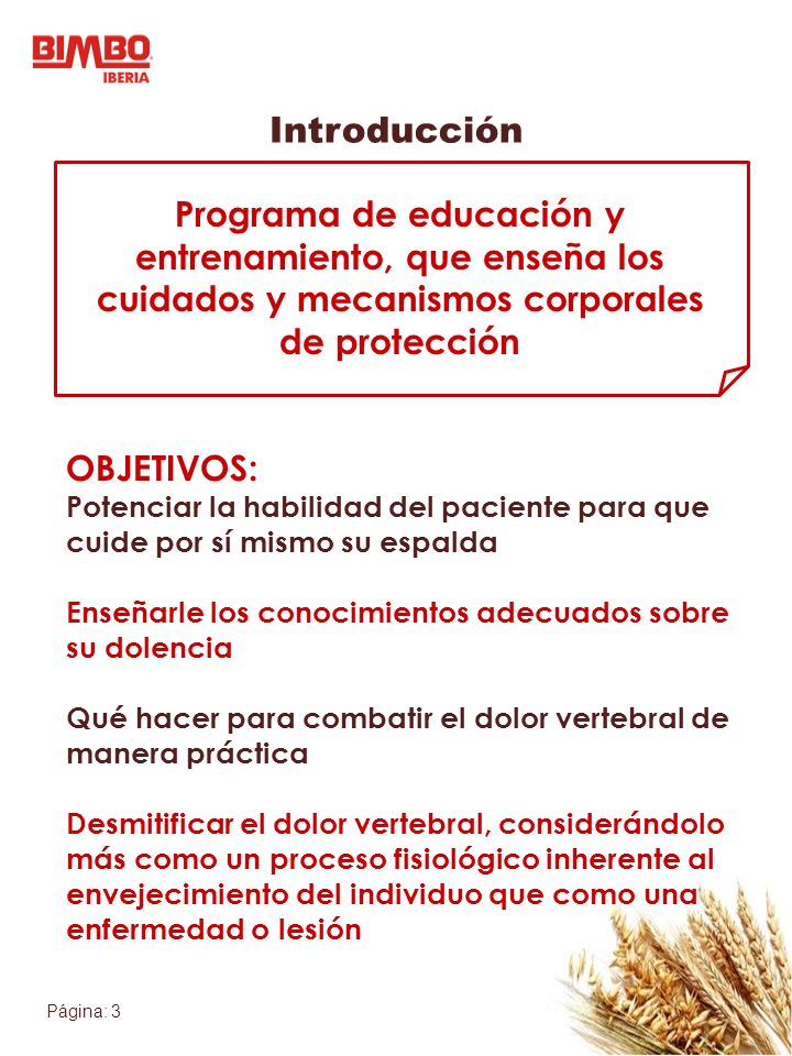 Introducción Programa de educación y entrenamiento, que enseña los cuidados y mecanismos corporales de protección.