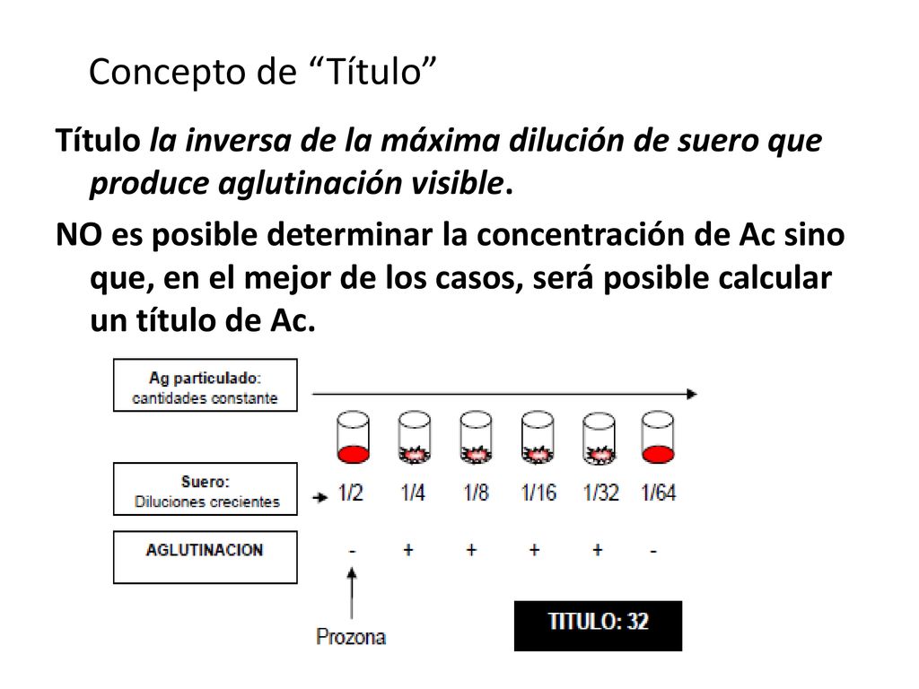 Concepto de Título Título la inversa de la máxima dilución de suero que produce aglutinación visible.