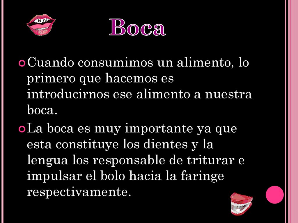 Boca Cuando consumimos un alimento, lo primero que hacemos es introducirnos ese alimento a nuestra boca.