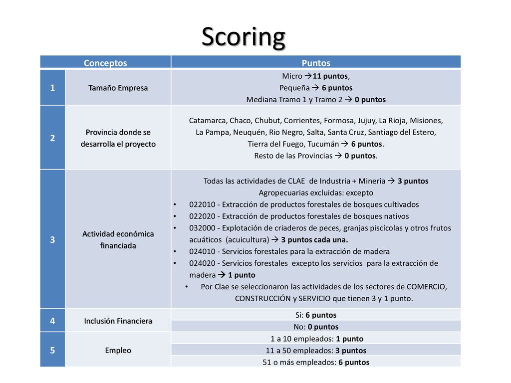 Scoring Conceptos Puntos Tamaño Empresa Micro 11 puntos,