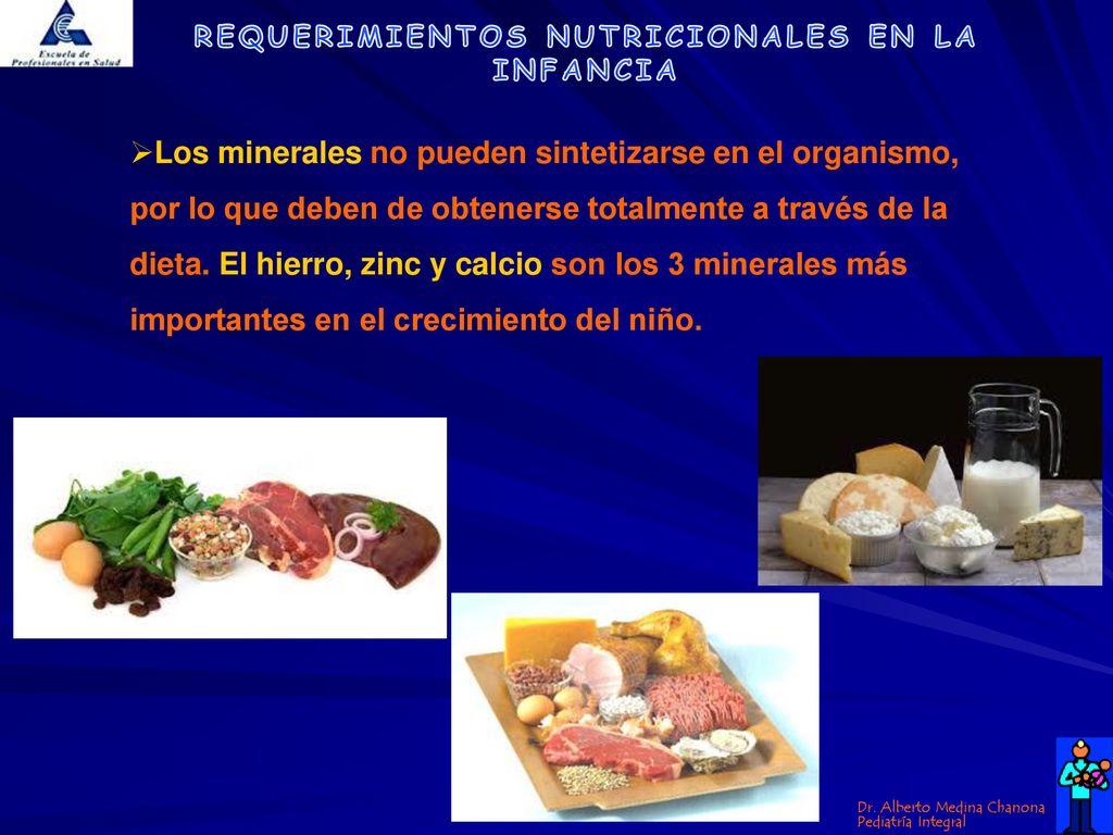 Los minerales no pueden sintetizarse en el organismo, por lo que deben de obtenerse totalmente a través de la dieta.