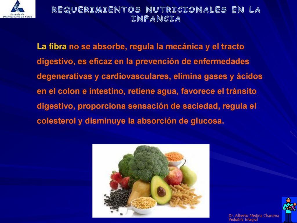 La fibra no se absorbe, regula la mecánica y el tracto digestivo, es eficaz en la prevención de enfermedades degenerativas y cardiovasculares, elimina gases y ácidos en el colon e intestino, retiene agua, favorece el tránsito digestivo, proporciona sensación de saciedad, regula el colesterol y disminuye la absorción de glucosa.