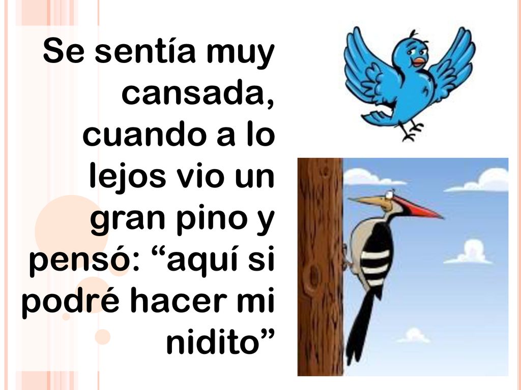 Se sentía muy cansada, cuando a lo lejos vio un gran pino y pensó: aquí si podré hacer mi nidito
