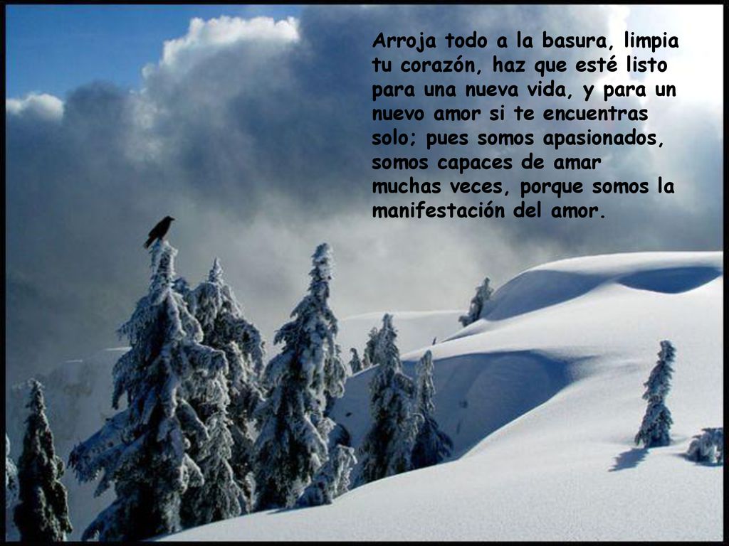 Arroja todo a la basura, limpia tu corazón, haz que esté listo para una nueva vida, y para un nuevo amor si te encuentras solo; pues somos apasionados, somos capaces de amar muchas veces, porque somos la manifestación del amor.