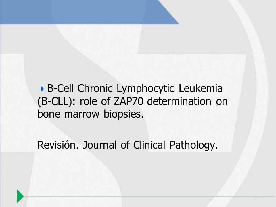 B-Cell Chronic Lymphocytic Leukemia (B-CLL): role of ZAP70 determination on bone marrow biopsies.
