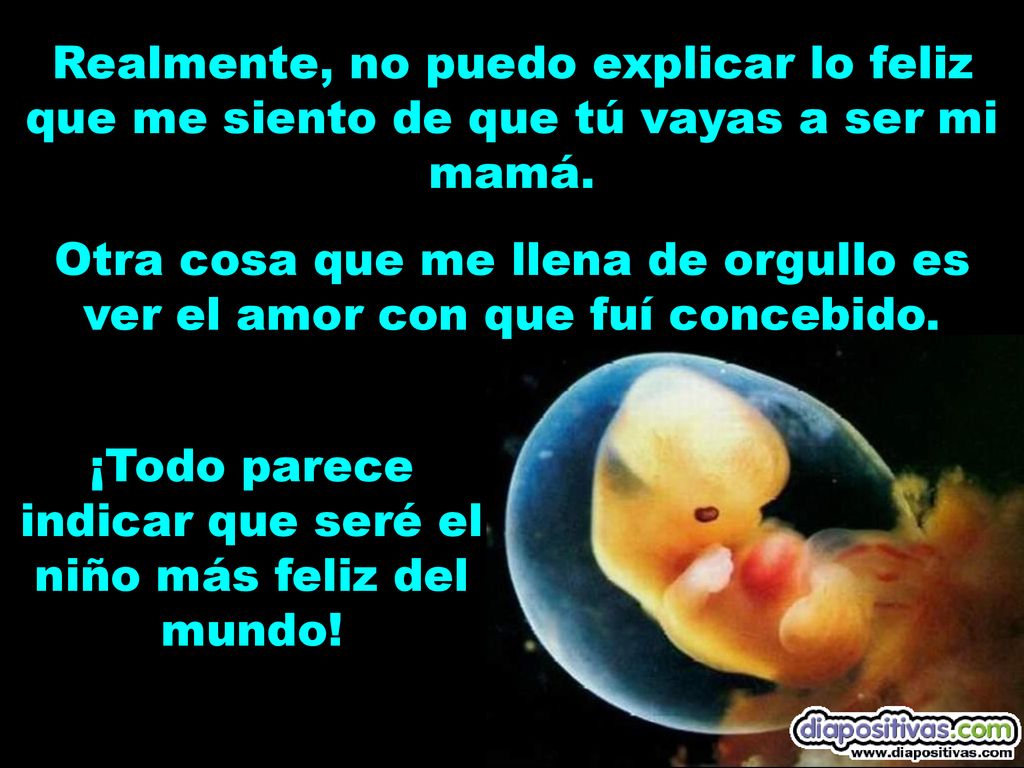 ¡Todo parece indicar que seré el niño más feliz del mundo!