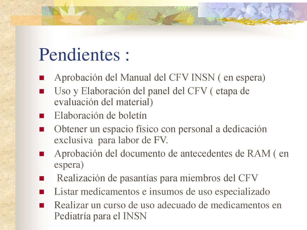 Pendientes : Aprobación del Manual del CFV INSN ( en espera)