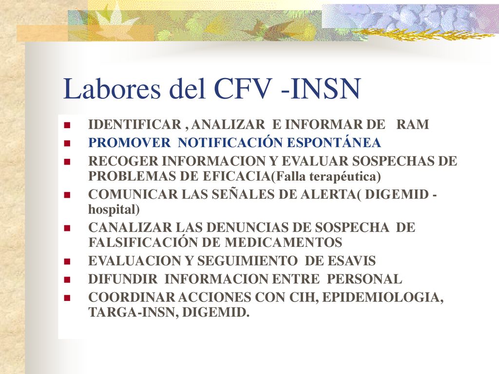 Labores del CFV -INSN IDENTIFICAR , ANALIZAR E INFORMAR DE RAM