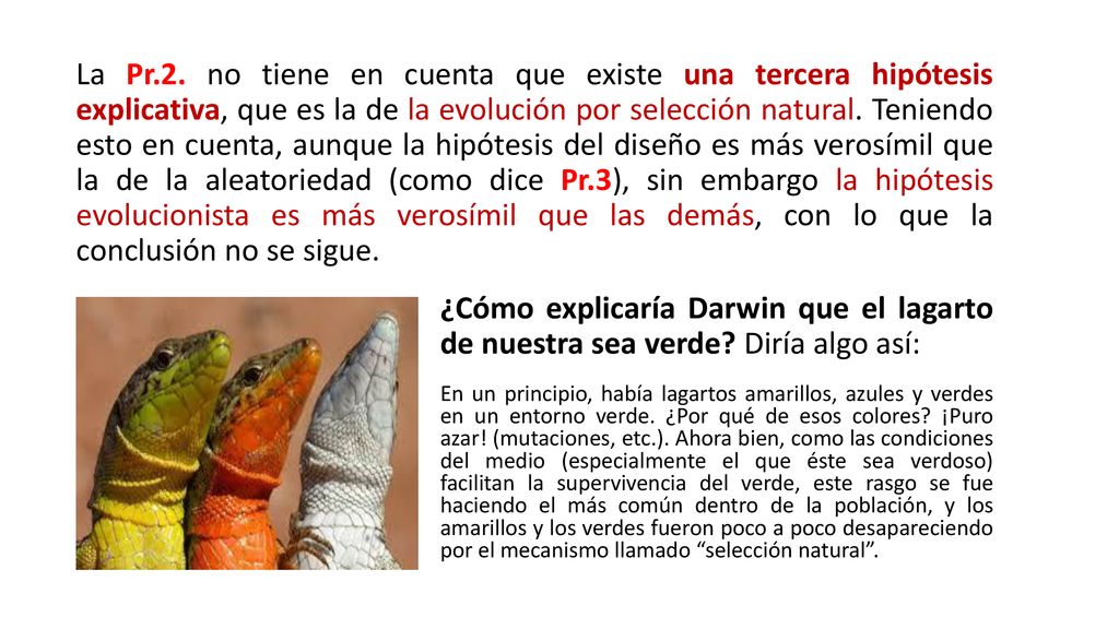 La Pr.2. no tiene en cuenta que existe una tercera hipótesis explicativa, que es la de la evolución por selección natural. Teniendo esto en cuenta, aunque la hipótesis del diseño es más verosímil que la de la aleatoriedad (como dice Pr.3), sin embargo la hipótesis evolucionista es más verosímil que las demás, con lo que la conclusión no se sigue.