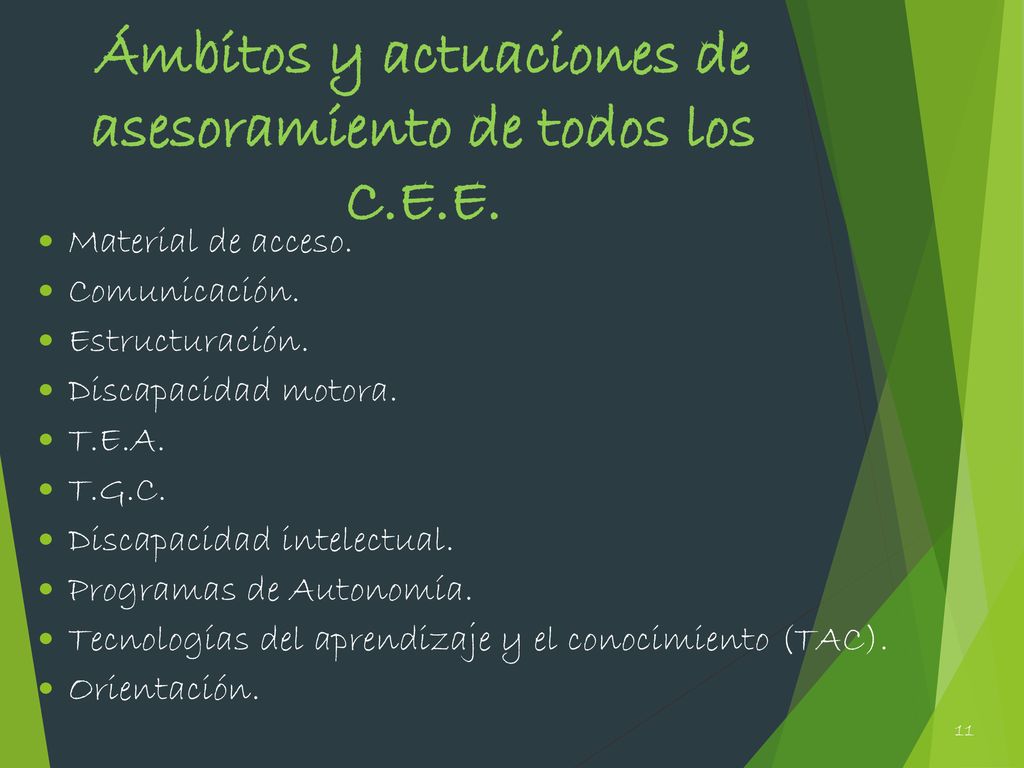 Ámbitos y actuaciones de asesoramiento de todos los C.E.E.