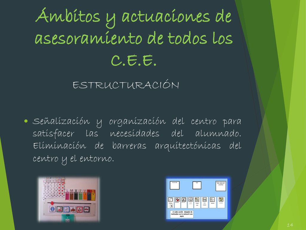Ámbitos y actuaciones de asesoramiento de todos los C.E.E.