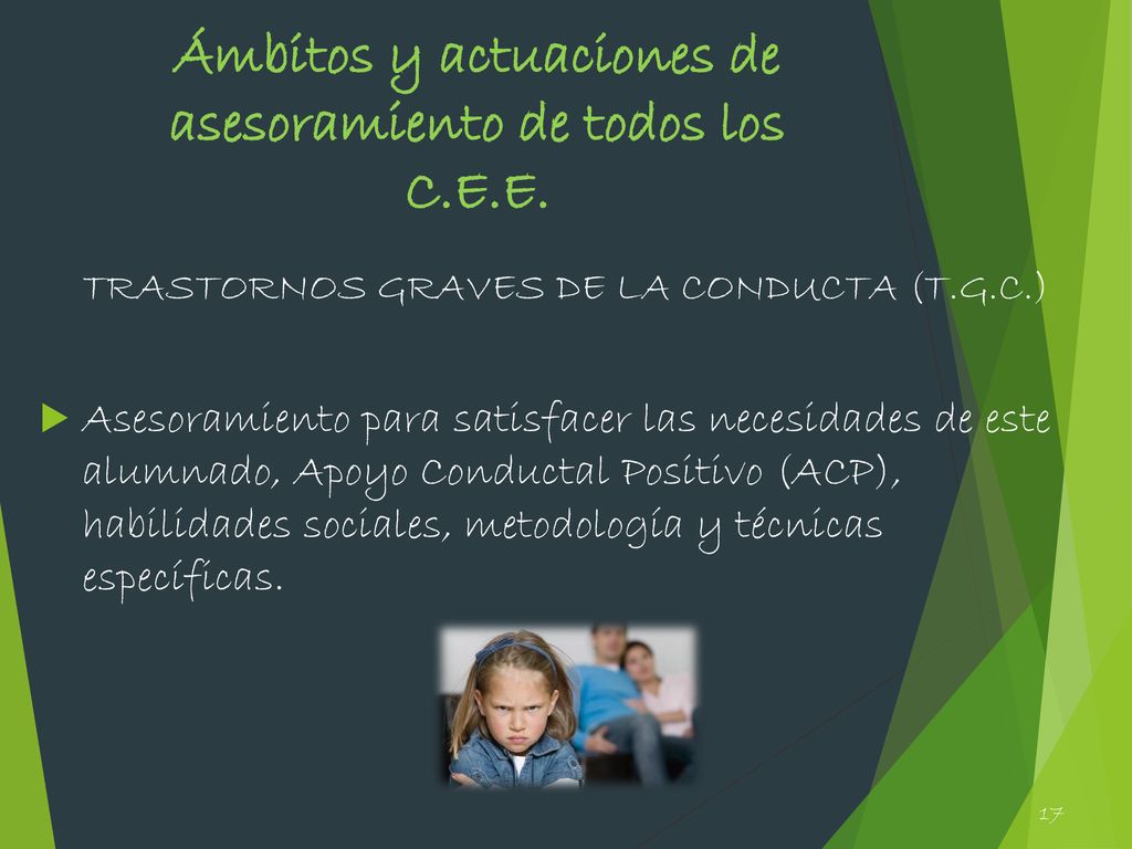 Ámbitos y actuaciones de asesoramiento de todos los C.E.E.