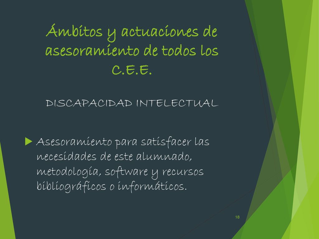 Ámbitos y actuaciones de asesoramiento de todos los C.E.E.