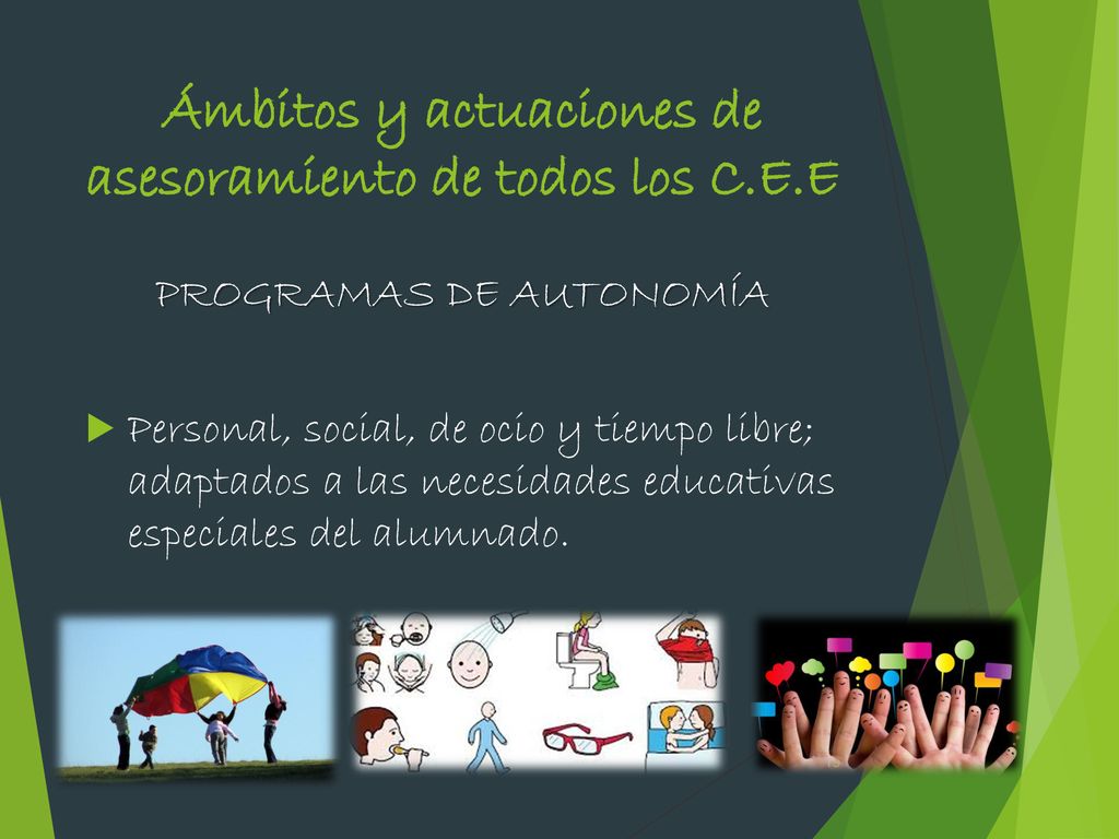 Ámbitos y actuaciones de asesoramiento de todos los C.E.E