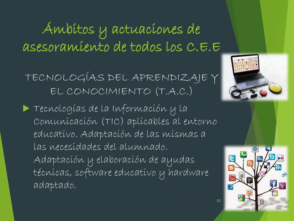 Ámbitos y actuaciones de asesoramiento de todos los C.E.E