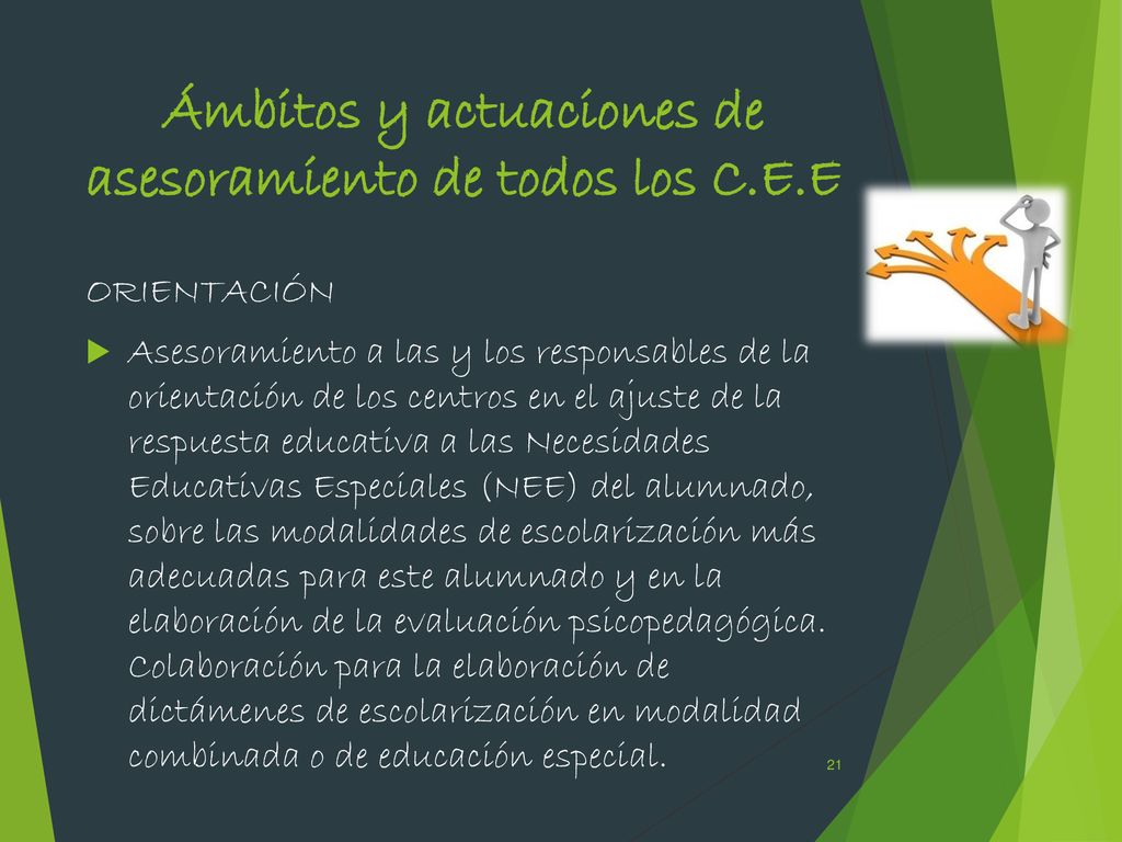 Ámbitos y actuaciones de asesoramiento de todos los C.E.E