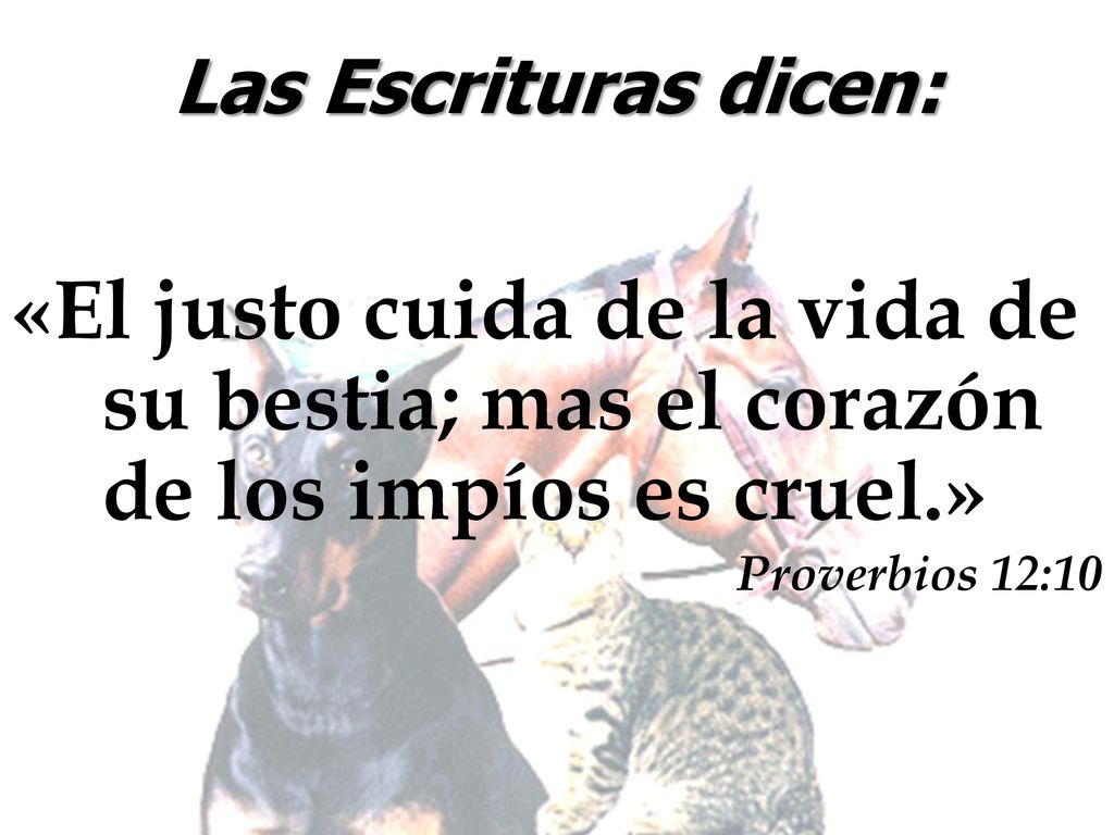 Las Escrituras dicen: «El justo cuida de la vida de su bestia; mas el corazón de los impíos es cruel.»