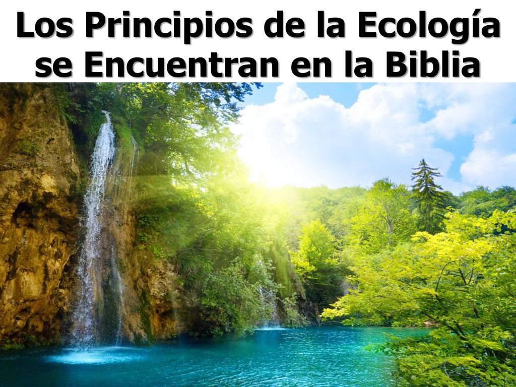 Los Principios de la Ecología se Encuentran en la Biblia
