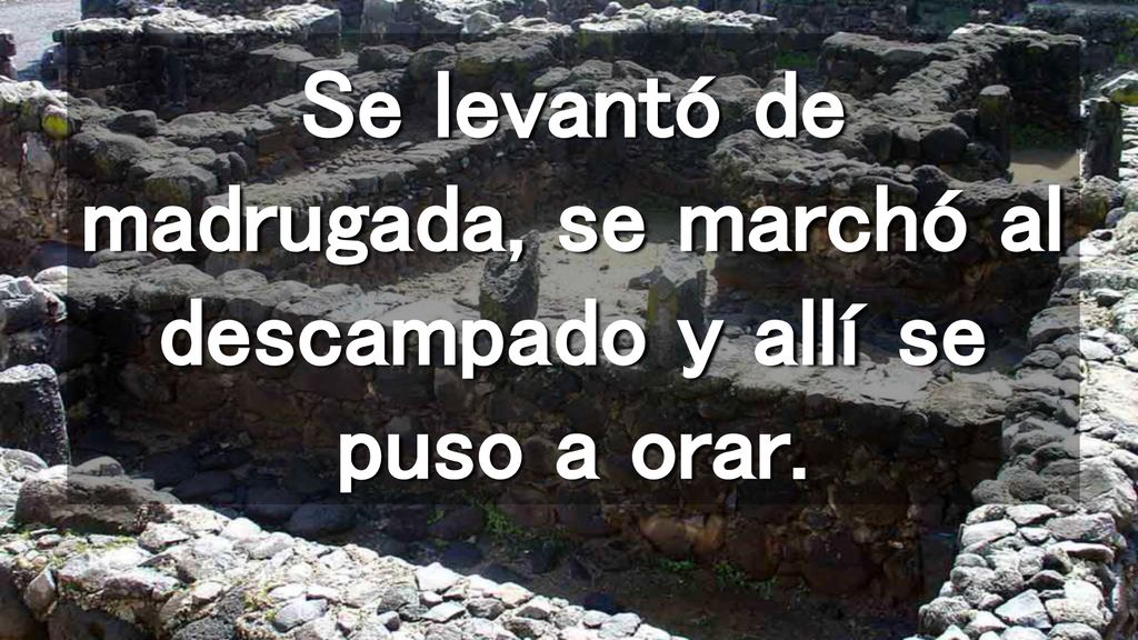 Se levantó de madrugada, se marchó al descampado y allí se puso a orar.