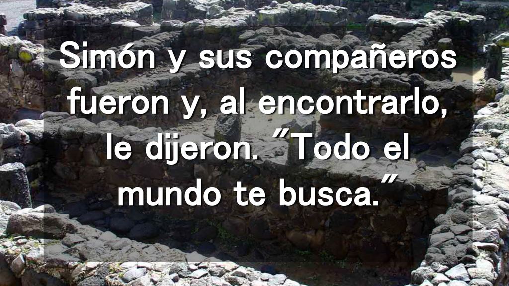Simón y sus compañeros fueron y, al encontrarlo, le dijeron