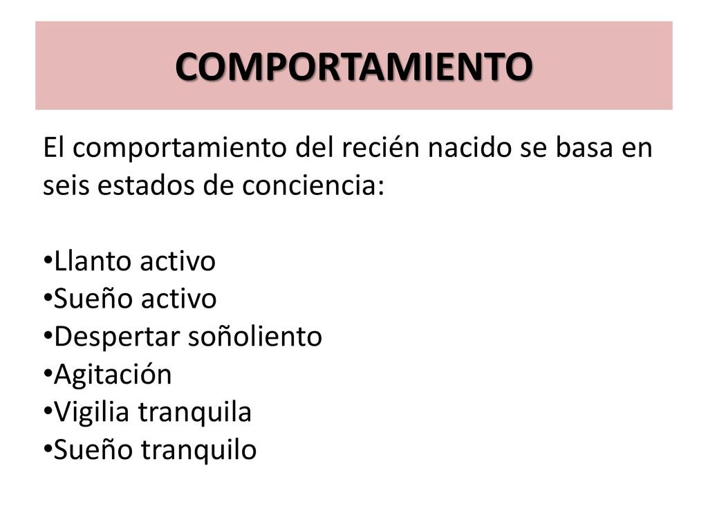 COMPORTAMIENTO El comportamiento del recién nacido se basa en seis estados de conciencia: Llanto activo.