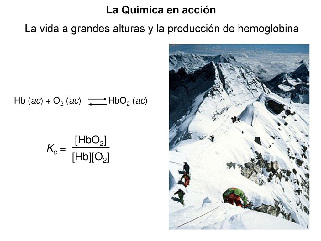 La vida a grandes alturas y la producción de hemoglobina