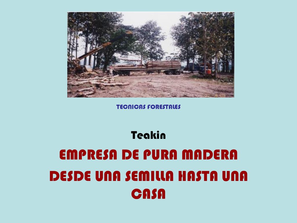 Teakin EMPRESA DE PURA MADERA DESDE UNA SEMILLA HASTA UNA CASA