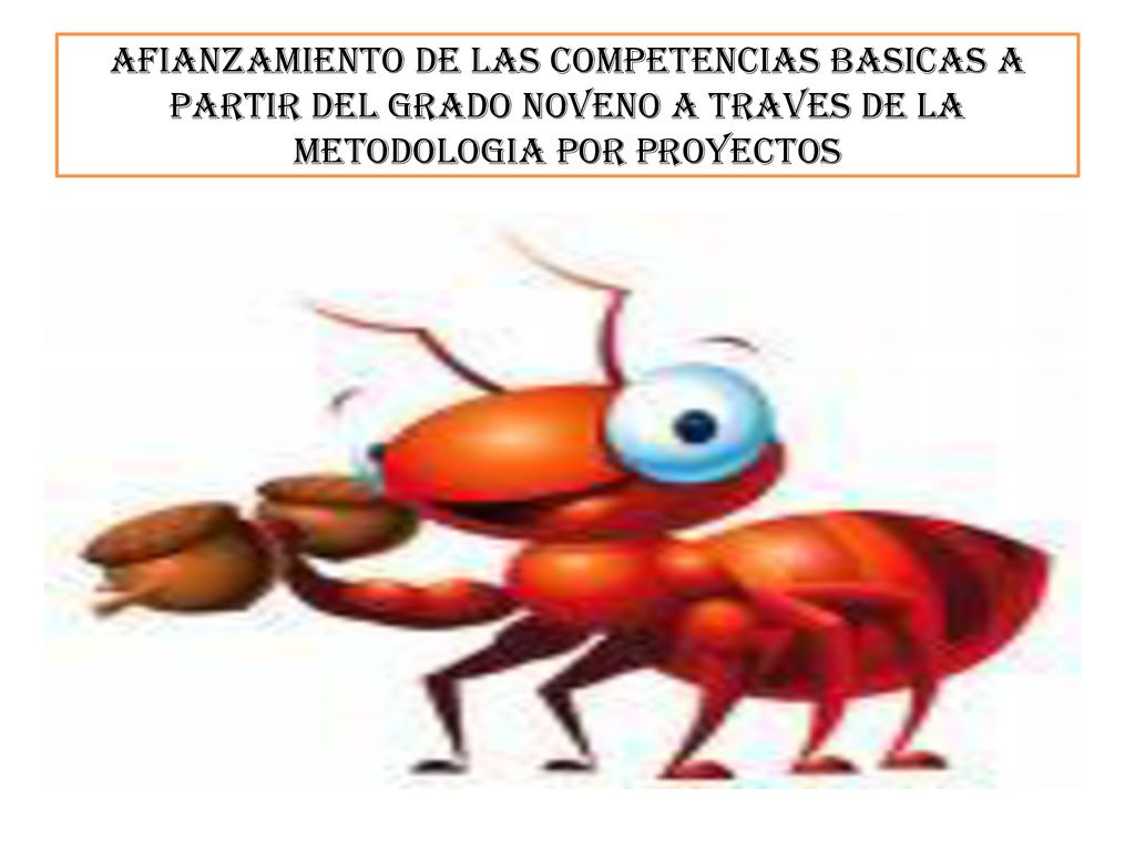 AFIANZAMIENTO DE LAS COMPETENCIAS BASICAS A PARTIR DEL GRADO NOVENO A TRAVES DE LA METODOLOGIA POR PROYECTOS