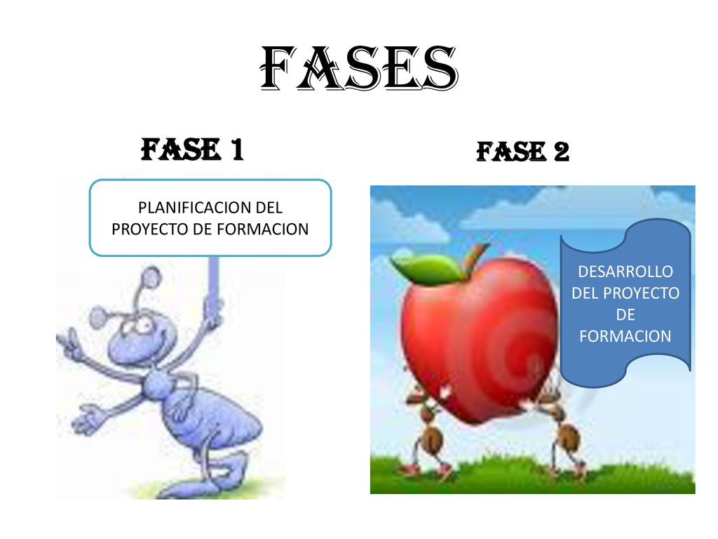 FASES FASE 1 FASE 2 PLANIFICACION DEL PROYECTO DE FORMACION